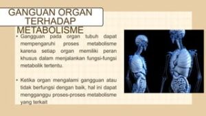 Efek Gula Terhadap Metabolisme Tubuh: Manisnya Kenikmatan, Pahitnya Konsekuensi