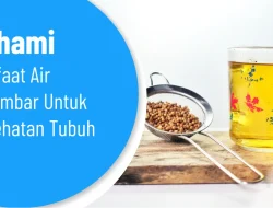 Air: Sumber Kehidupan dan Kunci Kesehatan Optimal Tubuh