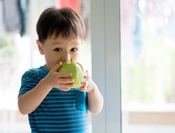Duet Kuat: Peran Vital Vitamin C dan Seng dalam Membangun dan Menjaga Daya Tahan Tubuh Optimal