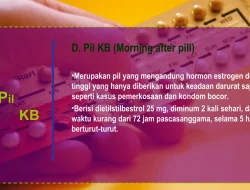 Apa bahaya mengkonsumsi pil KB darurat secara berlebihan