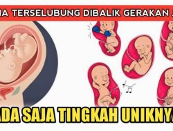 Apa makna jika gerakan janin terlalu aktif