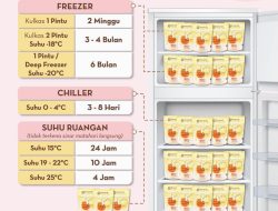 Bagaimana cara menyimpan ASI perah yang benar di kulkas