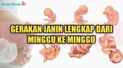 Kapan ibu hamil mulai merasakan gerakan janin pertama