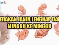 Kapan ibu hamil mulai merasakan gerakan janin pertama