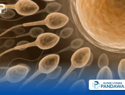 Kenapa sperma keluar setelah berhubungan apakah itu normal