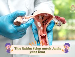 Panduan Lengkap: Cara Merawat Rahim untuk Meningkatkan Kesuburan Wanita